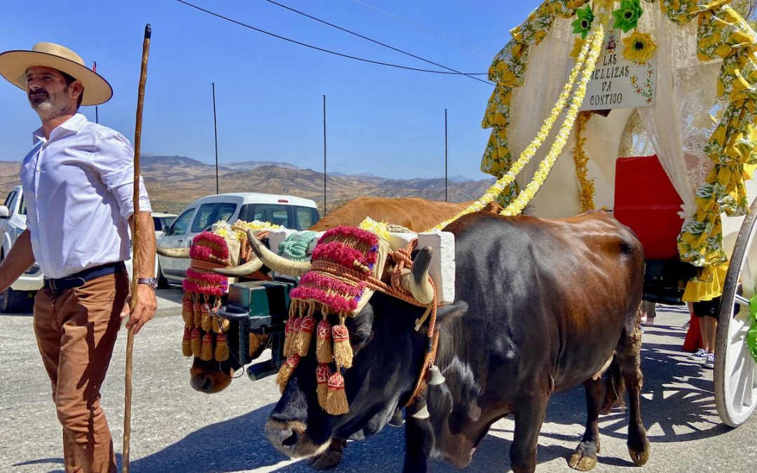 The Romería, a pilgrimage in Andalusia